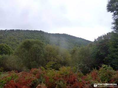 Castañar de El Tiemblo; selva irati rutas charco del cura rutas por sierra de madrid rutas senderis